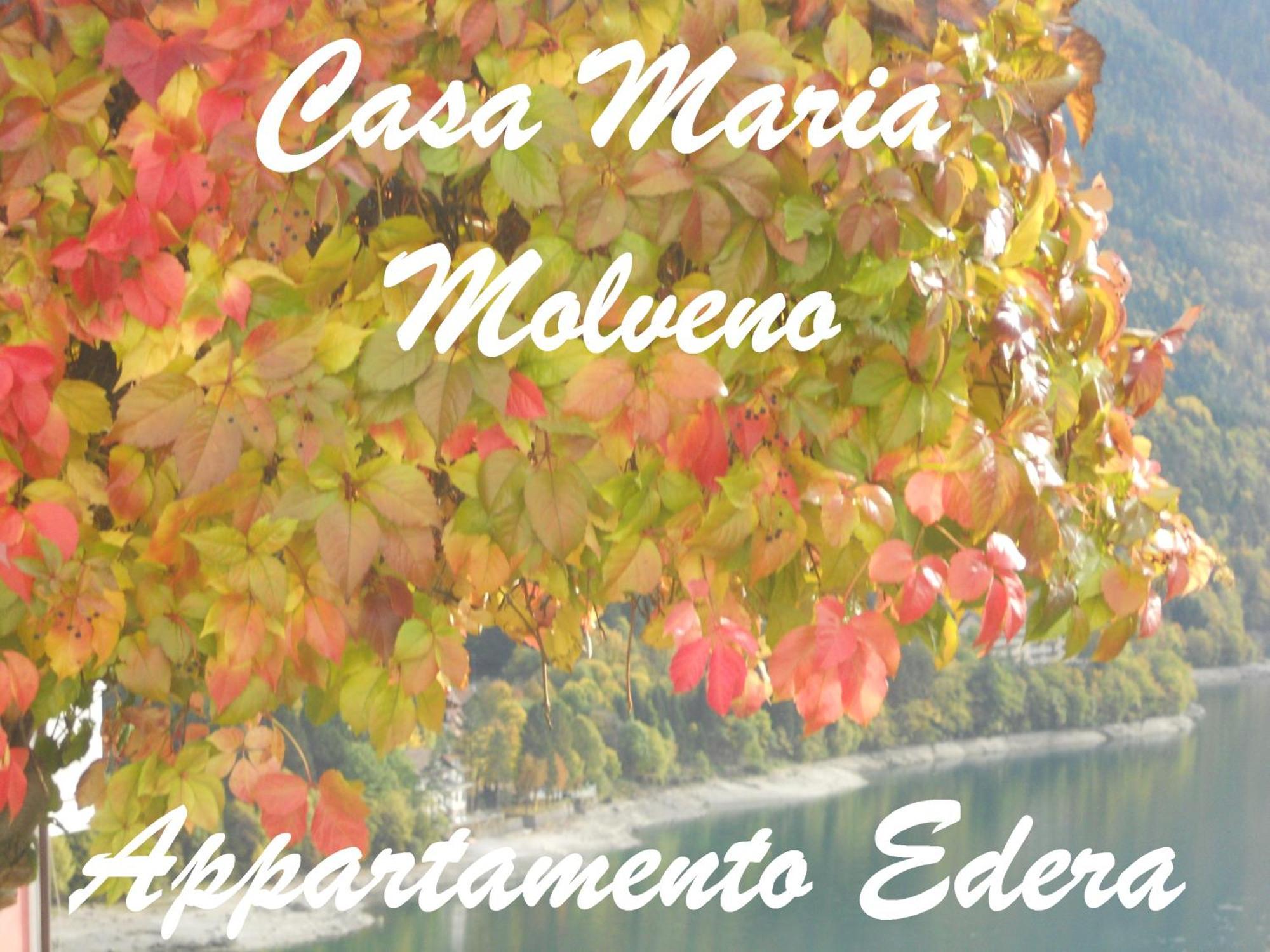 Casa Maria Apartment Molveno Phòng bức ảnh