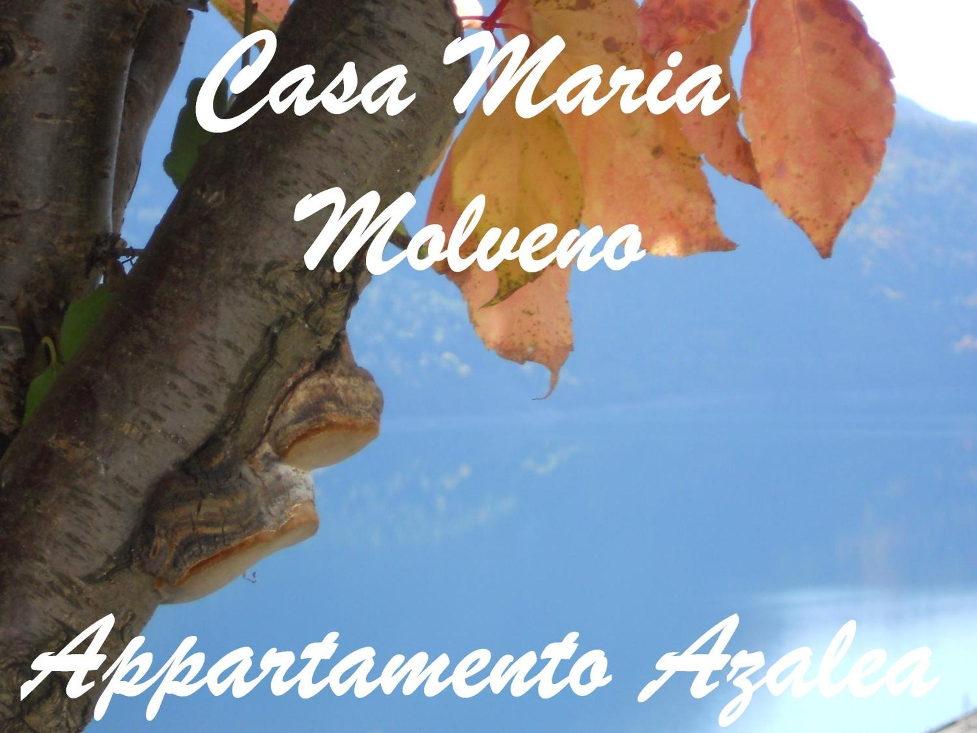 Casa Maria Apartment Molveno Phòng bức ảnh